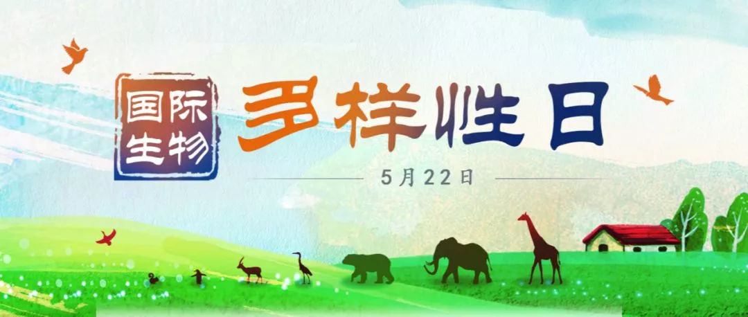 国际生物多样性日 探寻启东自然生灵的旅游魅力