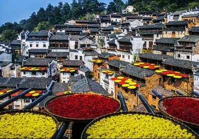篁岭晒秋 江西婺源旅游新招牌的魅力与影响